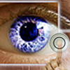 Public Safety and Security